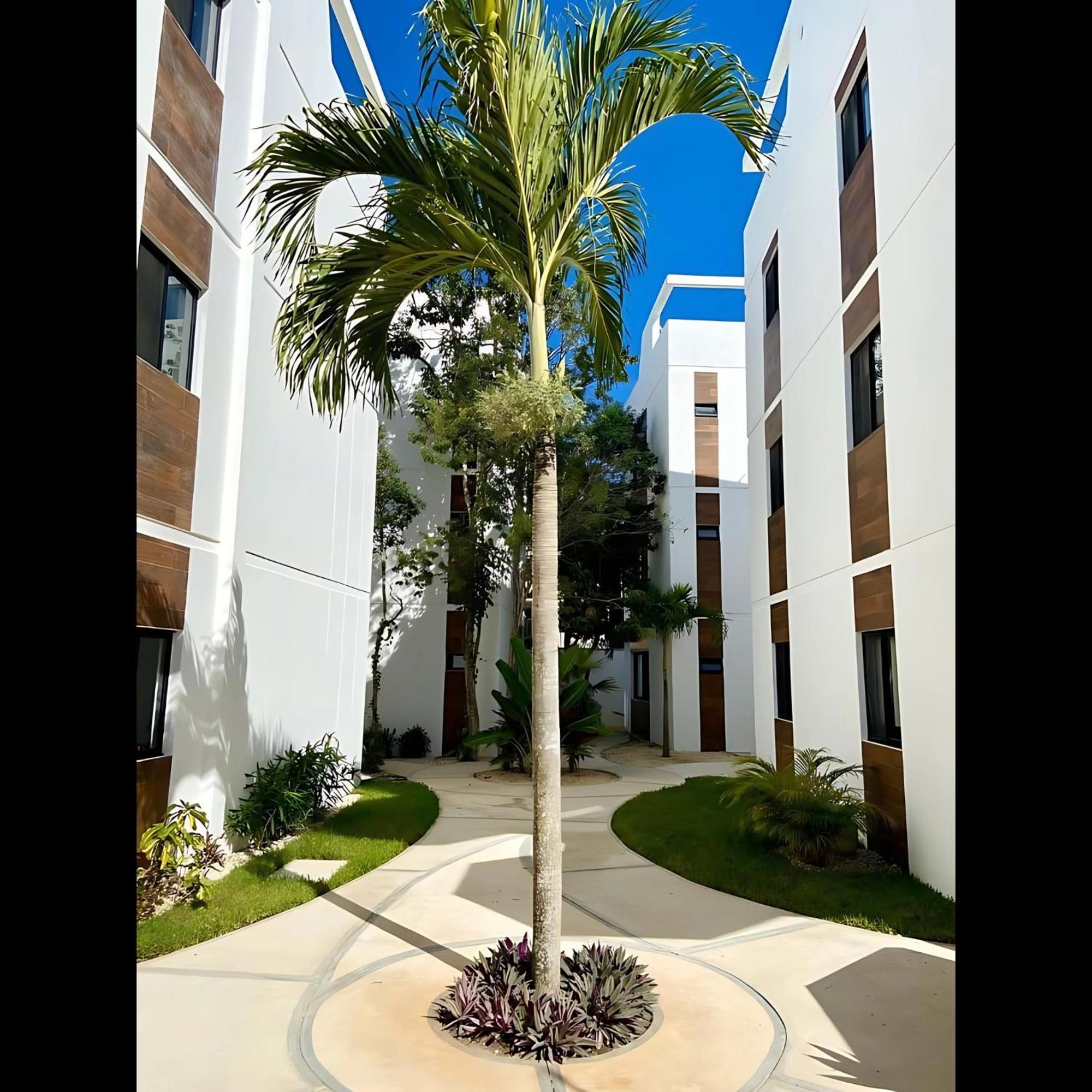Appartement Located Tulum