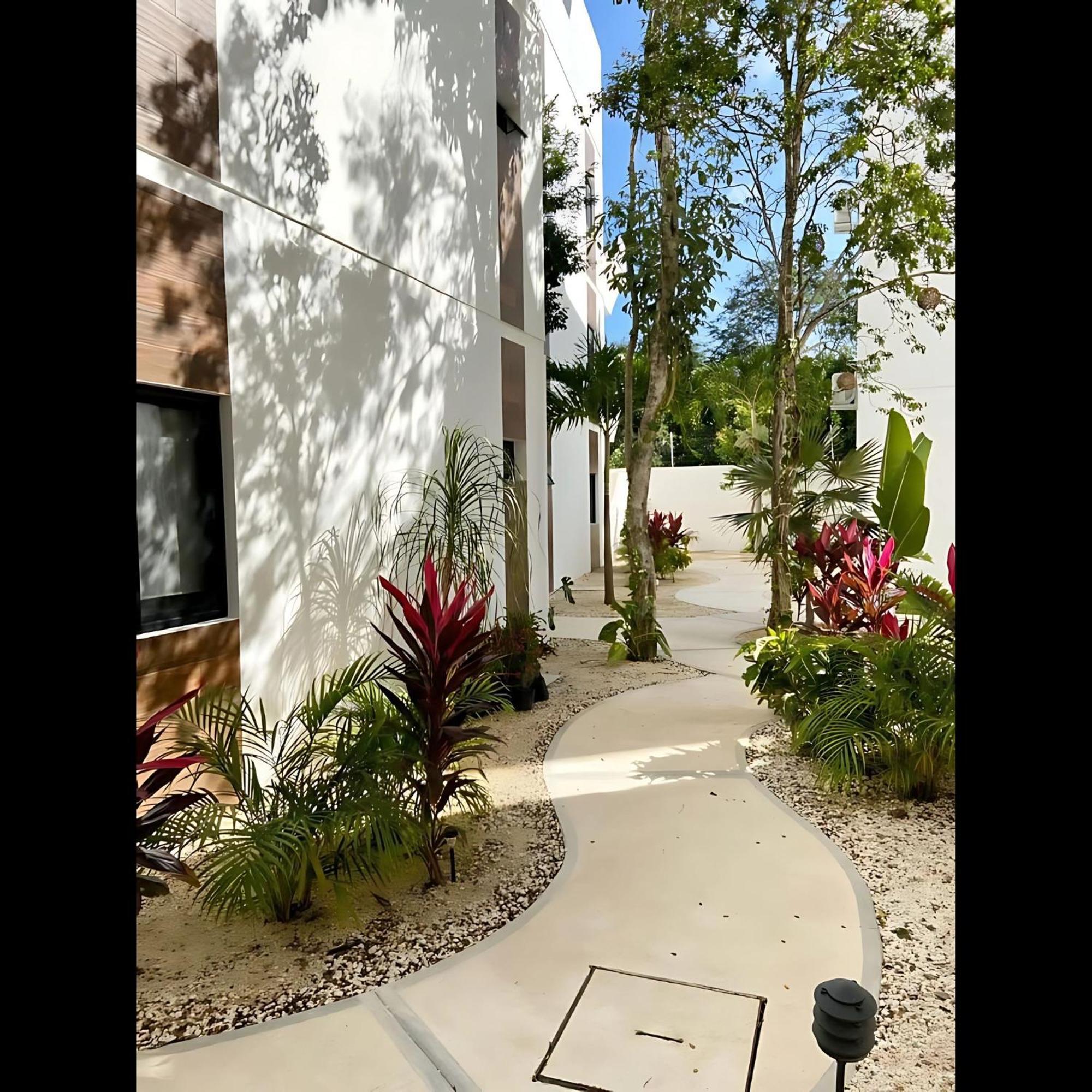 Located Appartement *